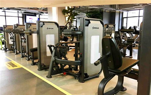 健身器材专卖店 樊城健身器材 襄阳舒扬文体用品高清图片 高清大图