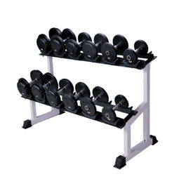 三飞 fm8843 双层哑铃架健身器材健身用品减肥增肌怎么样,好不好